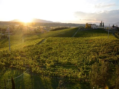 Holiday house Belvilla by OYO Giaggiolo - Outdoor photo 22