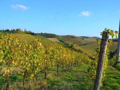 Holiday house Belvilla by OYO Giaggiolo - Environment photo 37