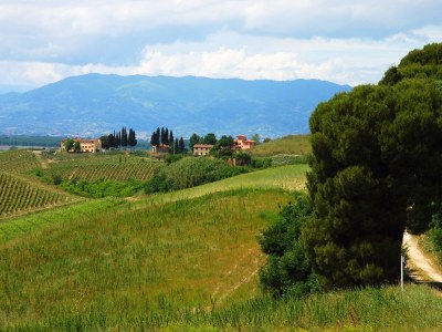 Holiday house Ferienhaus mit Pool in Stabbia - Outdoor photo 10
