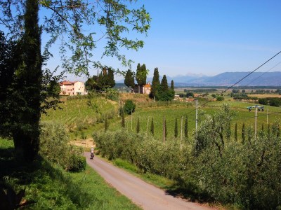 Holiday house Ferienhaus mit Pool in Stabbia - Environment photo 35