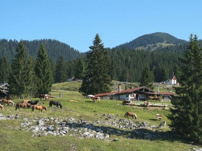 Holiday apartment Bauhofer "Alpenchic 4" - Environment photo 18