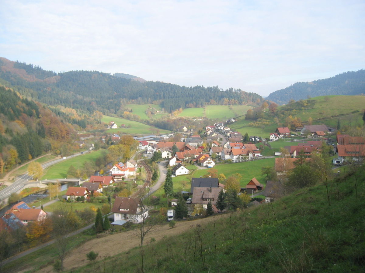Holiday apartment Huber im Schwarzwald 1 - Outdoor photo 2