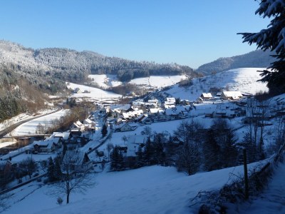 Holiday apartment Huber im Schwarzwald 1 - Outdoor photo 4