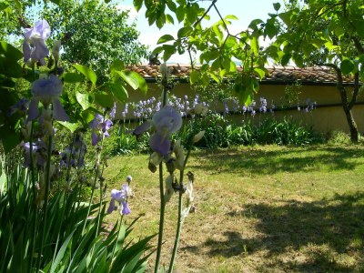 Holiday house Cozy 2-Bedroom Apartment - Outdoor photo 5