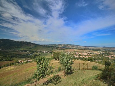 Holiday house Cottage in Montelabbate with Pool & Forest - Outdoor photo 13