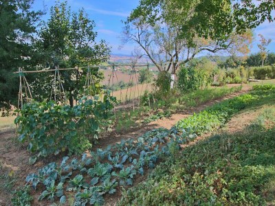 Holiday house Cottage in Montelabbate with Pool & Forest - Outdoor photo 37