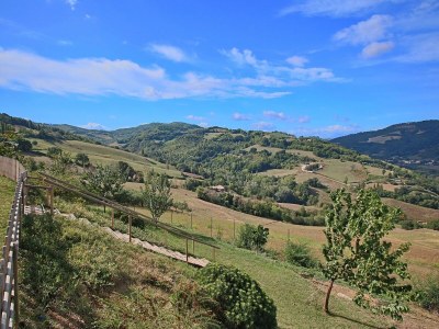 Holiday house Tranquil Hilltop Cottage - Outdoor photo 14
