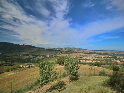 Holiday house Tranquil Hilltop Cottage - Outdoor photo 21