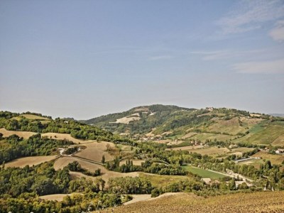 Holiday house Tranquil Hilltop Cottage - Environment photo 33