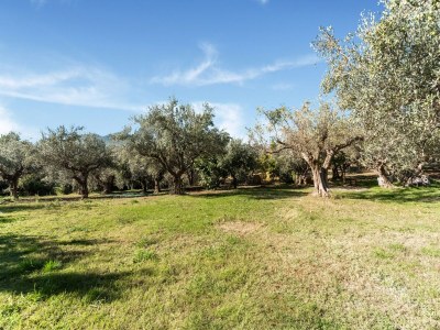 Holiday house Cottage in Bomba near Lake Bomba - Outdoor photo 8