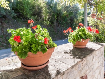 Holiday house Cottage in Bomba near Lake Bomba - Outdoor photo 38