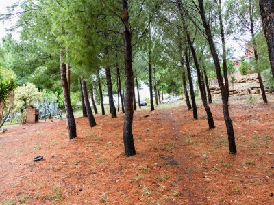 Holiday house Ferienhaus in Cropani Marina mit Pool - Outdoor photo 6