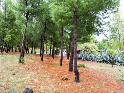 Holiday house Ferienhaus in Cropani Marina mit Pool - Outdoor photo 10