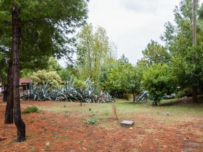 Holiday house Ferienhaus in Cropani Marina mit Pool - Outdoor photo 15