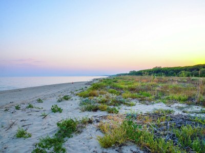 Holiday house Ferienhaus in Cropani Marina mit Pool - Environment photo 32