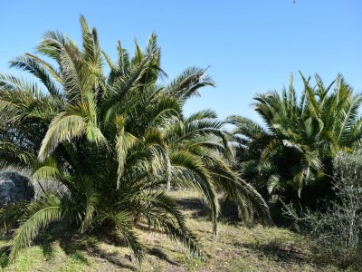 Villa Villa in Syracuse with Pool and Terrace - Outdoor photo 11
