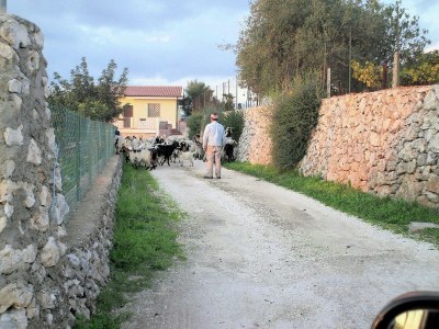 Villa Villa in Syracuse with Pool and Terrace - Environment photo 19