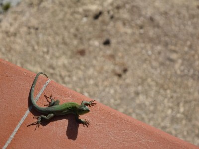 Villa Villa in Syracuse with Pool and Terrace - Outdoor photo 23