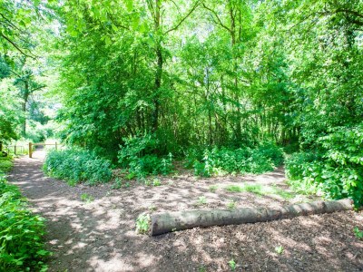 Holiday house Cosy holiday home with a private garden - Environment photo 32