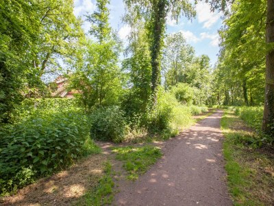 Holiday house Cosy holiday home with a private garden - Environment photo 33