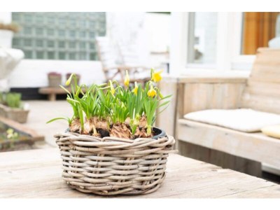 Holiday house Renesse Holiday Home w/ Fireplace - Outdoor photo 38