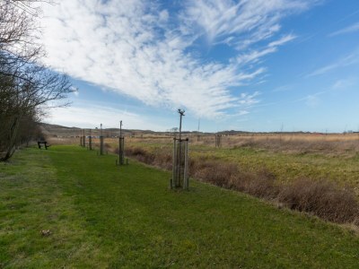 Apartment Apartment in Flushing near Vlissing Beach - Environment photo 31