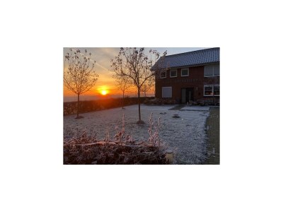 Villa Ruhiger Gruppenurlaub in der Natur - Outdoor photo 60