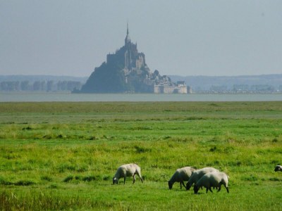 Holiday house Country House in Normandy near D-Day Beaches - Environment photo 23