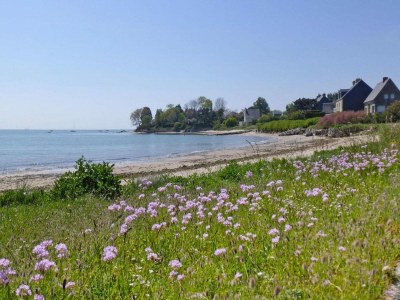 Holiday house Country House in Normandy near D-Day Beaches - Environment photo 28