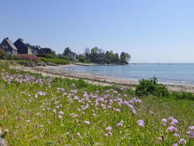 Holiday house Country House in Normandy near D-Day Beaches - Environment photo 29