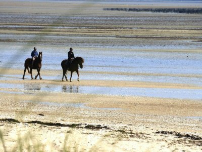 Holiday house Country House in Normandy near D-Day Beaches - Environment photo 30