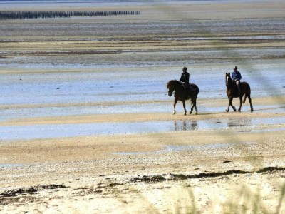 Holiday house Country House in Normandy near D-Day Beaches - Environment photo 31