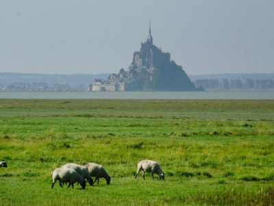 Holiday house Country House in Normandy near D-Day Beaches - Environment photo 32