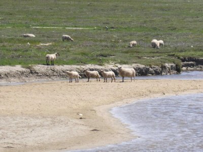 Holiday house Holiday Home in Bréhal near Sandy Beach - Environment photo 21