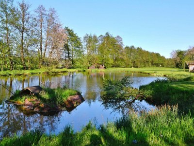 Apartment Holiday Farm in Pfaffenhofen with Indoor Pool - Outdoor photo 39