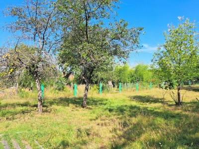 Holiday house Haus nahe Vogesenpark und La Petite Pierre - Outdoor photo 11