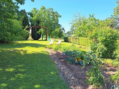 Holiday house Haus nahe Vogesenpark und La Petite Pierre - Outdoor photo 12