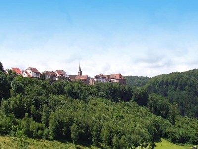 Holiday house Haus nahe Vogesenpark und La Petite Pierre - Environment photo 32