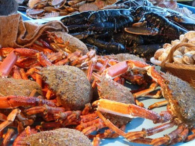 Holiday house Apartment in Fécamp near Cap Fagnet Cliffs - Environment photo 18