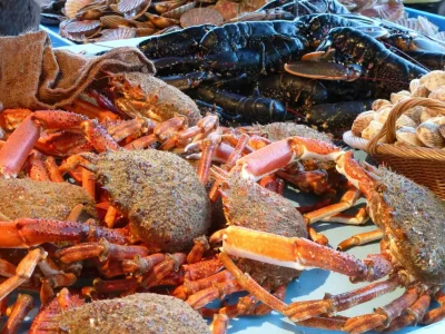 Holiday house Apartment in Fécamp near Cap Fagnet Cliffs - Environment photo 22