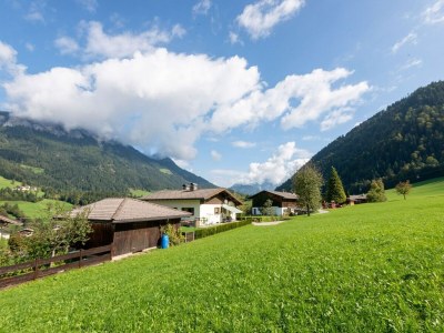 Apartment Farmhouse in Itter near Ski Slopes - Environment photo 26