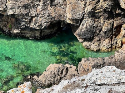 Holiday house Villa in Crozon with Sea Views & Sandy Beach - Environment photo 35