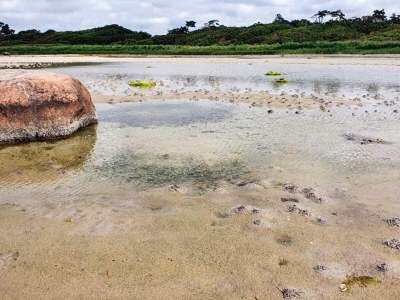 Holiday house 4 Personen Ferienhaus in Jægerspris-By Traum - Outdoor photo 9