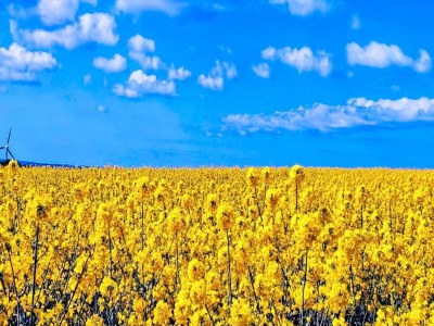 Holiday house 4 Personen Ferienhaus in Jægerspris-By Traum - Outdoor photo 17