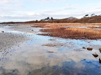Holiday house 4 Personen Ferienhaus in Jægerspris-By Traum - Outdoor photo 20