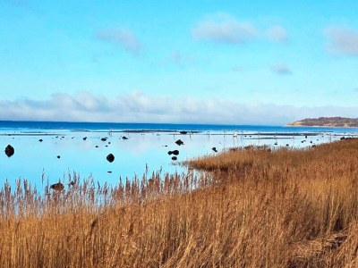 Holiday house 4 Personen Ferienhaus in Jægerspris-By Traum - Outdoor photo 32