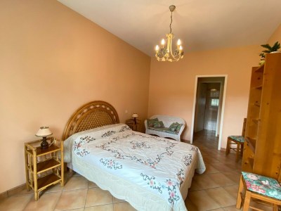 Holiday house Semi-detached house on a vineyard, Talais - Features photo 13