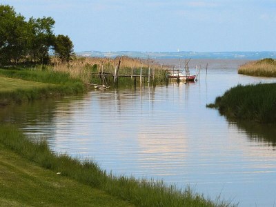 Holiday house Semi-detached house on a vineyard, Talais - Environment photo 18