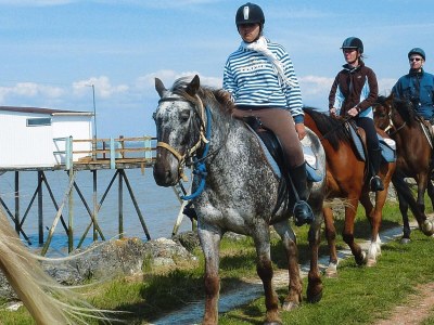 Holiday house Semi-detached house on a vineyard, Talais - Environment photo 19