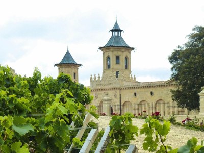 Holiday house Semi-detached house on a vineyard, Talais - Environment photo 20